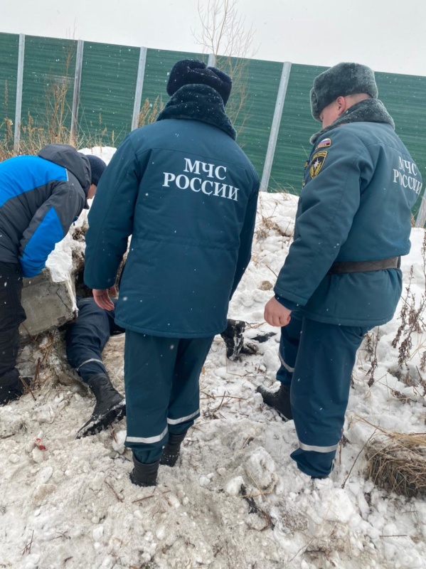 На Камчатке спасатели вызволили собаку, провалившуюся под бетонную плиту