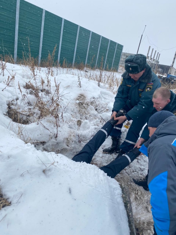 На Камчатке спасатели вызволили собаку, провалившуюся под бетонную плиту