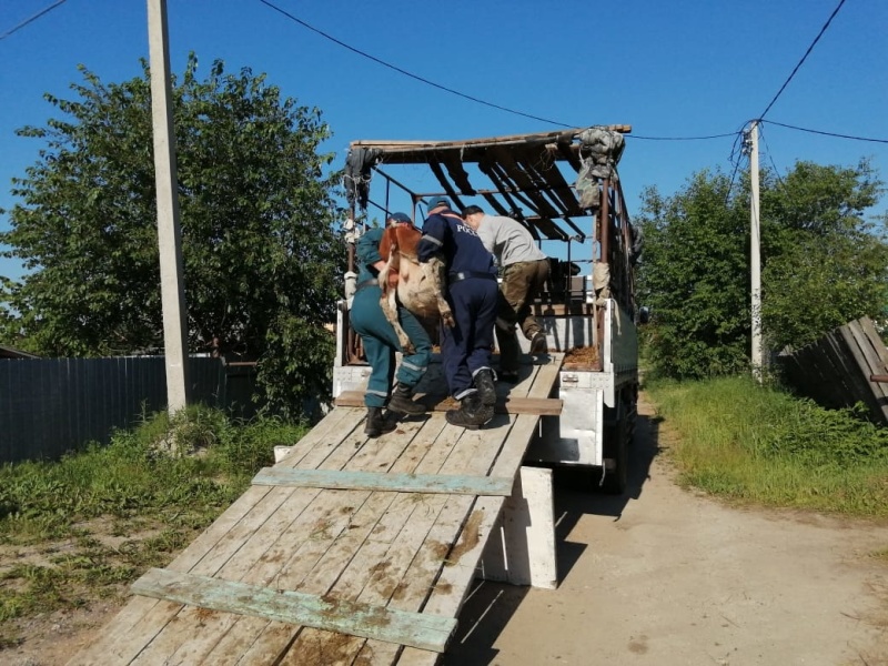 Камчатские спасатели оказывают помощь в эвакуации жителей подтопленных районов Приамурья