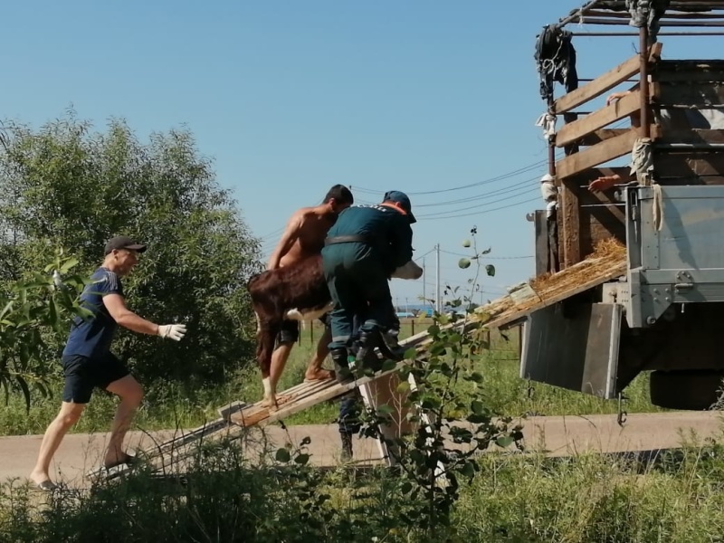 Камчатские спасатели оказывают помощь в эвакуации жителей подтопленных районов Приамурья