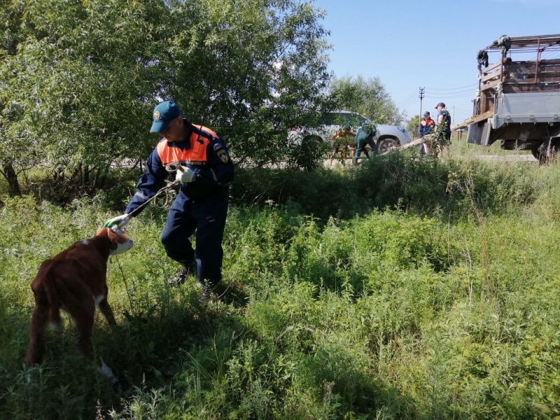 Камчатские спасатели оказывают помощь в эвакуации жителей подтопленных районов Приамурья