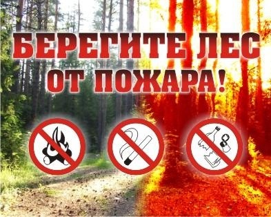 Камчатские спасатели напоминают правила пожарной безопасности в лесу