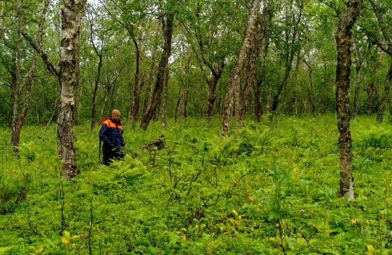 Заплутавшая в лесу пенсионерка провела там более суток: спасатели призывают камчатцев соблюдать осторожность при сборе дикоросов