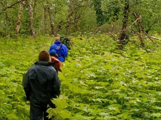 Заплутавшая в лесу пенсионерка провела там более суток: спасатели призывают камчатцев соблюдать осторожность при сборе дикоросов