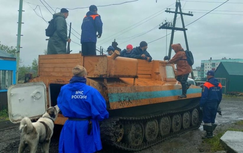 Заплутавшая в лесу пенсионерка провела там более суток: спасатели призывают камчатцев соблюдать осторожность при сборе дикоросов