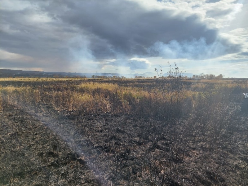 Пожарным удалось локализовать возгорания, действующие на Камчатке в природной среде