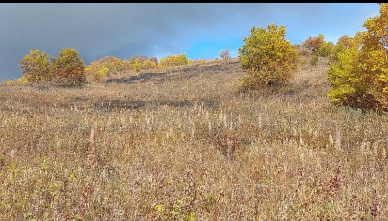 В Петропавловске-Камчатском ликвидировали возгорание на сопке